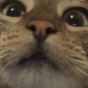 Vans, Princess Polly, Dr Martens etc :)